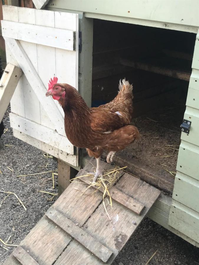 Appartamento The Shed. Knockloghrim Esterno foto